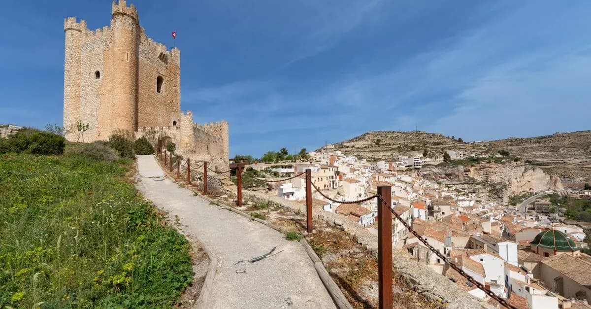 La historia del aceite de oliva en la cocina española