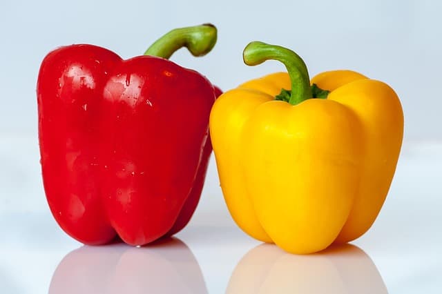 Las técnicas esenciales para dominar la cocina española